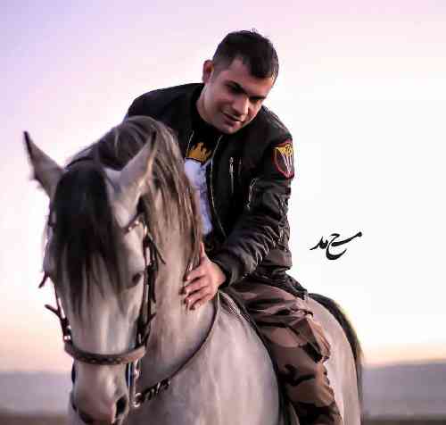 فرهاد جهانگیری اشهدان فقط خوی پرسیم